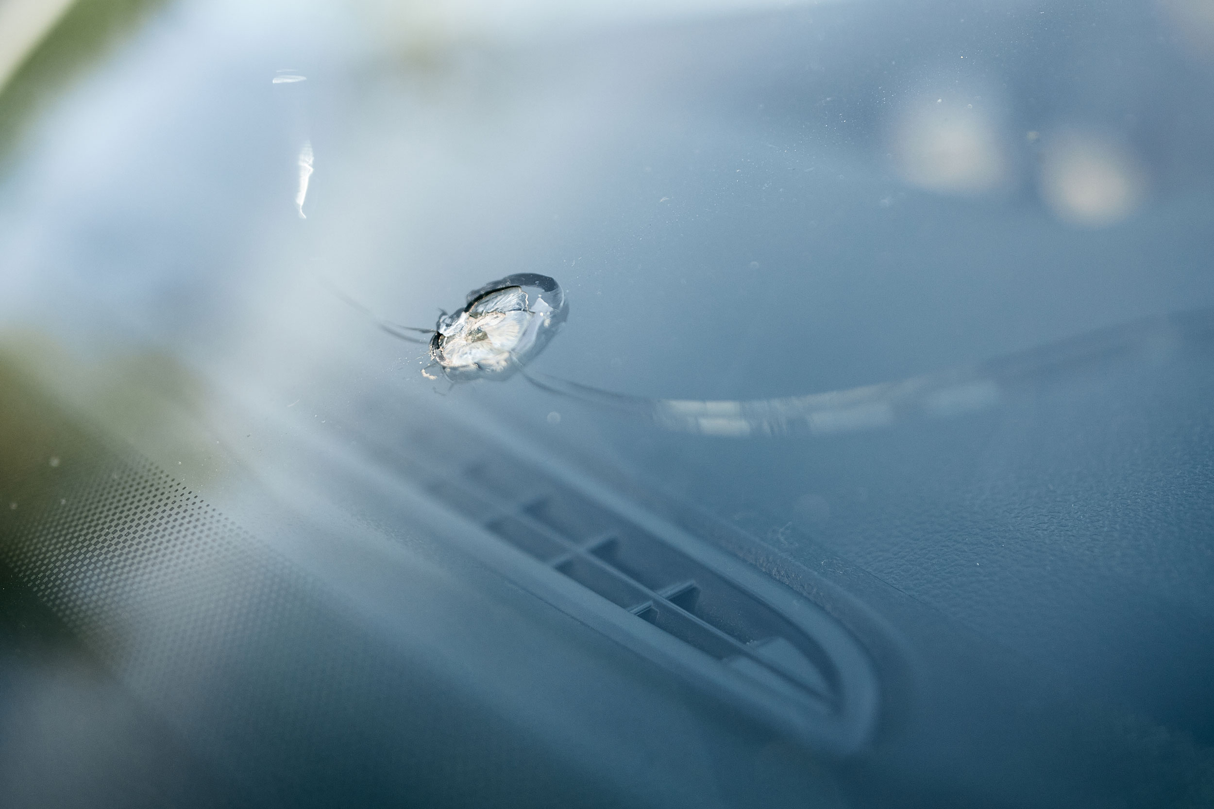 Chipped Windshield