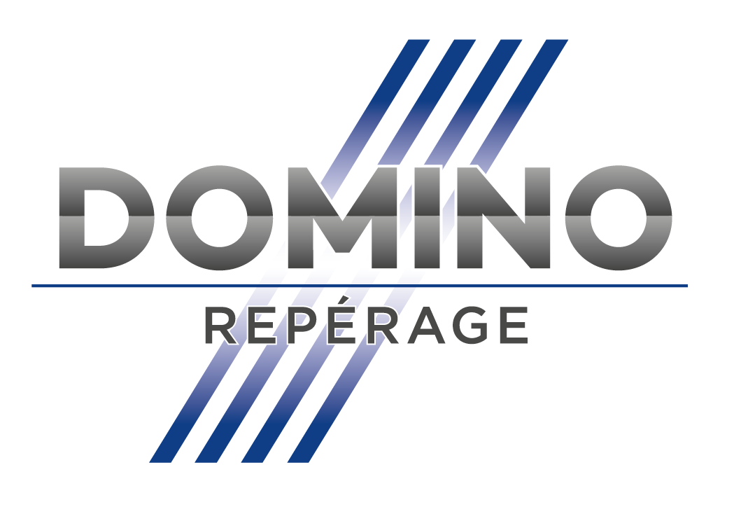 Domino